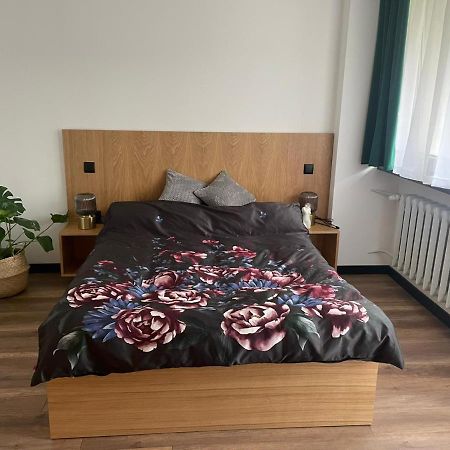 Apartamenty Nadrzeczna 14 كارباش المظهر الخارجي الصورة